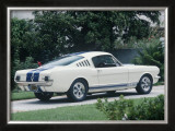 1965 Shelby GT350 Framed Giclee Print by David Newhardt