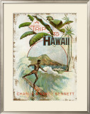 A Trip to Hawaii Framed Giclee Print