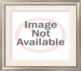 Neil Armstrong Framed Photographic Print