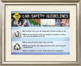 Guidelines Posters