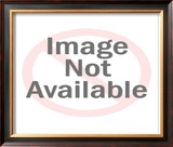 Neil Armstrong, Commander of the Apollo 11 Framed Photographic Print