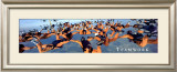 Teamwork: Sky Divers Print