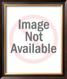 Astronauts of Apollo 11 Framed Photographic Print