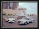 1955 and 1980 Ford Thunderbird Framed Giclee Print