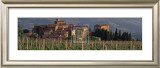 Castello di Volpaia Prints by Mick Rock