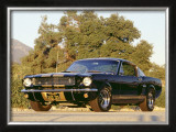 1966 Shelby GT350H Framed Giclee Print by David Newhardt