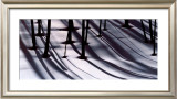 Pine Trees and Morning Shadows Print by William Neill