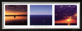Sailing, Australia Posters by Neville Prosser