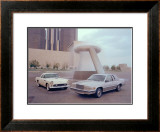 1955 and 1980 Ford Thunderbird Framed Giclee Print