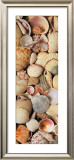 Serenity Prints by Sophia Legrand