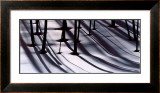 Pine Trees and Morning Shadows Posters by William Neill