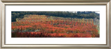 Automne en Provence Prints by Laurent Pinsard
