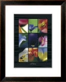 Ikeba II Prints by Marc Ayrault