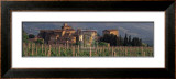 Castello di Volpaia Prints by Mick Rock