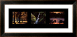 Images from Nature II Prints by William Neill