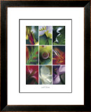 Ikeba III Print by Marc Ayrault