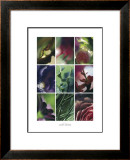 Ikeba IV Prints by Marc Ayrault