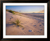 Northland Karikari Bay Prints by Popp-hackner 