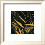 Essence on Ebony I Prints by Jason Arnold