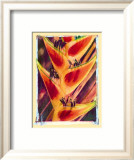 Heliconia Plakater av Joanne Bolton