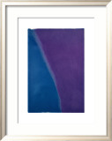 Shadows I, c.1979 (blue and purple) Prints by Andy Warhol
