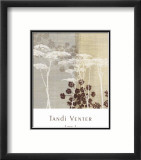 Lace I Láminas por Tandi Venter