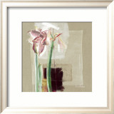 Amaryllis Japonisant Poster av C. Bernarduchêne