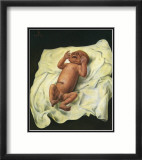 Bebe Avec Cordon Ombilical, c.1927 Lámina por Otto Dix Bebe Avec Cordon Ombilical, c.1927 Lámina por Otto Dix