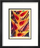 Heliconia Posters av Joanne Bolton