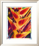 Heliconia Innrammet Giclee-trykk av Joanne Bolton