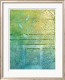 Aqueous IV Limited Edition Framed Print by Caroline Ashton