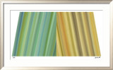 Infiniti Color IV Gerahmter Druck (limitierte Auflage) von Louis Vega Trevino