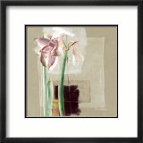 Amaryllis Japonisant Posters av C. Bernarduchêne
