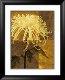 Golden Mums I Affiches par Keith Mallett