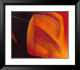 In Motion III Pósters por Liesbet Optendrees In Motion III Pósters por Liesbet Optendrees