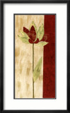 Fleur Rouge III Prints by Luisa Tosini