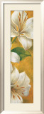Concert de Lys III Poster von Pierre Viollet