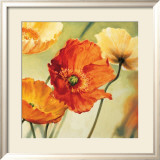 Champs de Coquelicots II Prints by Pierre Viollet