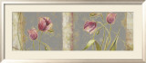 Tulip Concerto Posters by Lily Thomas