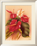 Red and White Anthuriums Framed Giclee Print by Frank Oda