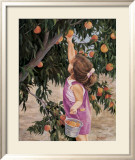 Just Peachy Poster by June Dudley