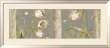 Tulip Rhapsody Prints by Lily Thomas