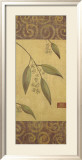 Eucalyptus Leaves I Posters av Gayle Bighouse Eucalyptus Leaves I Posters av Gayle Bighouse