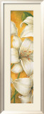 Concert de Lys II Print by Pierre Viollet