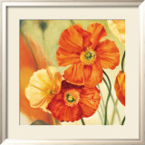 Champs de Coquelicots I Kunstdrucke von Pierre Viollet