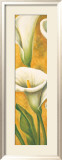 Concert de Callas II Poster von Pierre Viollet
