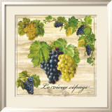 Le Vieux Cepage Prints by Noel Romero