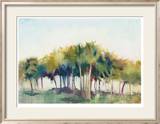 Coconut Grove Limited Edition Framed Print by Allyson Krowitz