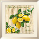 Mon Beau Citronnier Prints by Noel Romero
