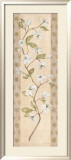Asian Dogwood Prints by Angela Ferrante